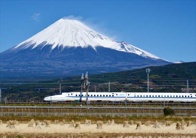 From Tokyo: Mt. Fuji & Hakone Tour w/ Return by Bullet Train - Hakone Owakudani by gondola: sulfur vibes and elevation changes you can feel
