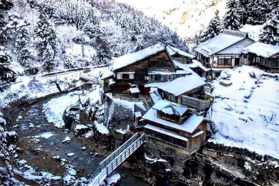 From Tokyo: Nagano Full Day Private Snow Monkey Park Tour - Who This Tour Suits Best