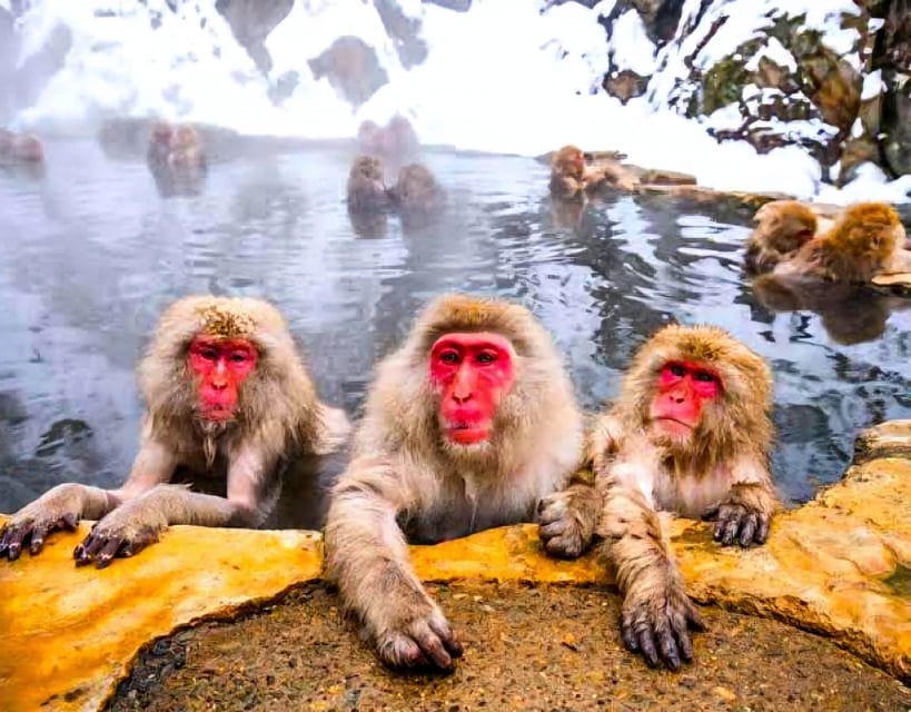 From Tokyo: Nagano Snow Monkey Park Zenkoji Temple Day Trip - Matsushiro Castle Ruins: Why This Stop Matters