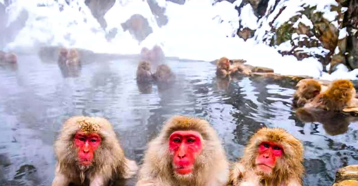 From Tokyo: Nagano Snow Monkey Park Zenkoji Temple Day Trip - Shibu Onsen Break Time: The Best Kind of Fatigue