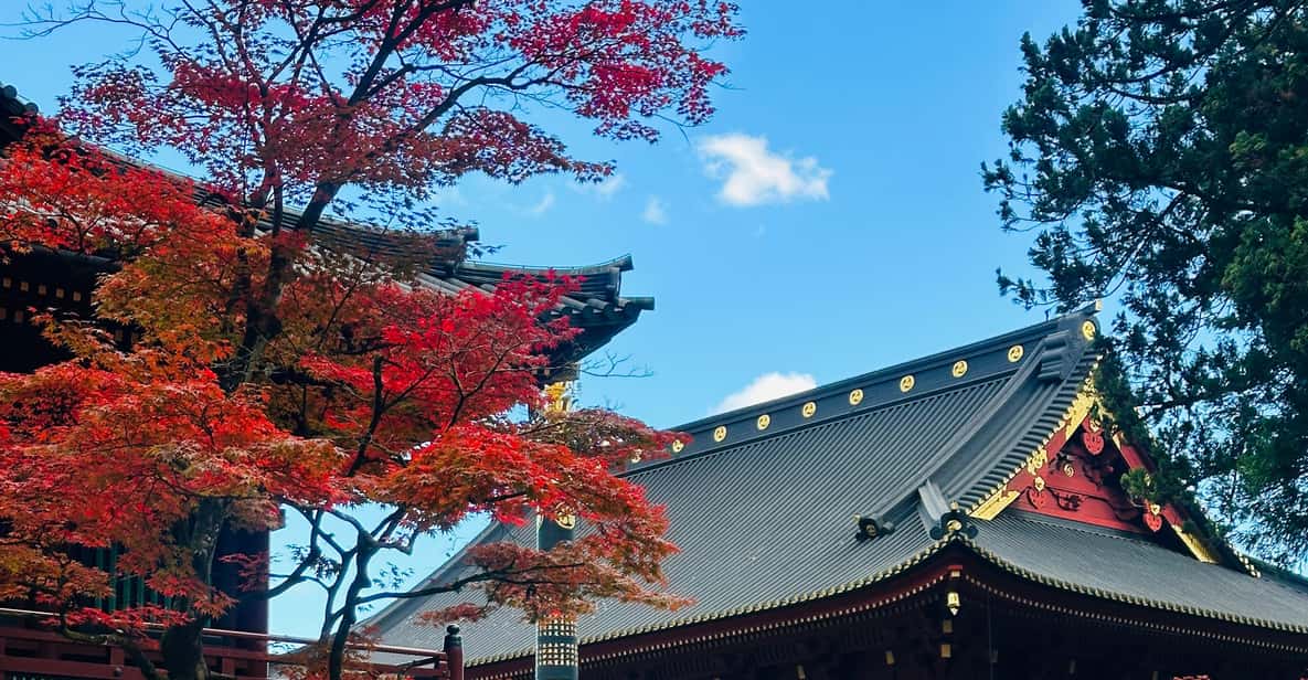 From Tokyo: Nikko Customize private Tour With English Driver - Key highlights I’d bet on