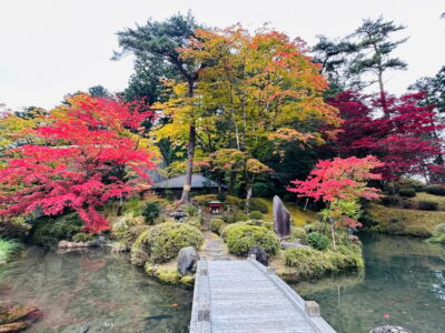 From Tokyo: Nikko Customize private Tour With English Driver - Hotel pickup and the English driver: the comfort factor you’ll feel immediately
