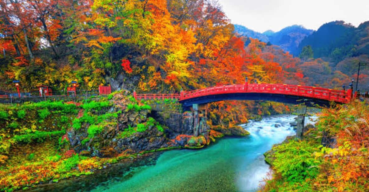 From Tokyo: Nikko luxury Tour with English-speaking Guide - Key things that make this Nikko day trip worth it