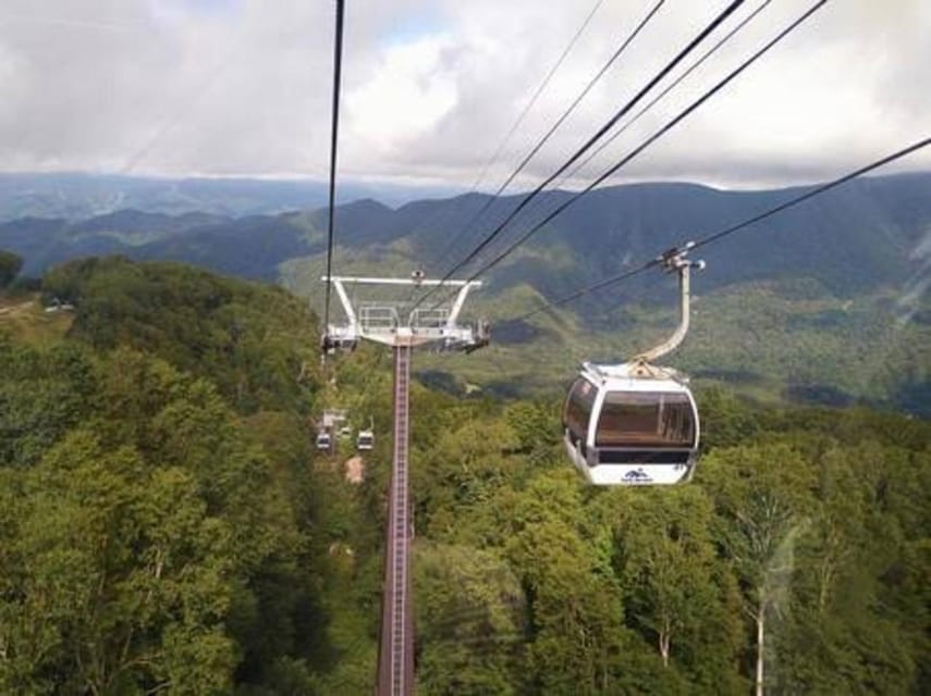 From Tokyo: Nikko luxury Tour with English-speaking Guide - Private-group comfort, English guidance, and Wi‑Fi on the road