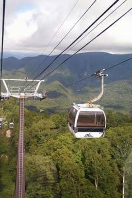 From Tokyo: Nikko luxury Tour with English-speaking Guide - From Shinkyo Bridge to Toshogu Shrine: the sacred start you’ll remember