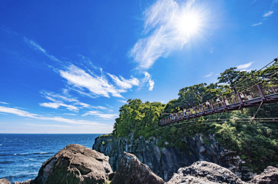 From Tokyo: Private Day Trip to Izu & Shimoda, Shizuoka - Key moments I think are worth your time