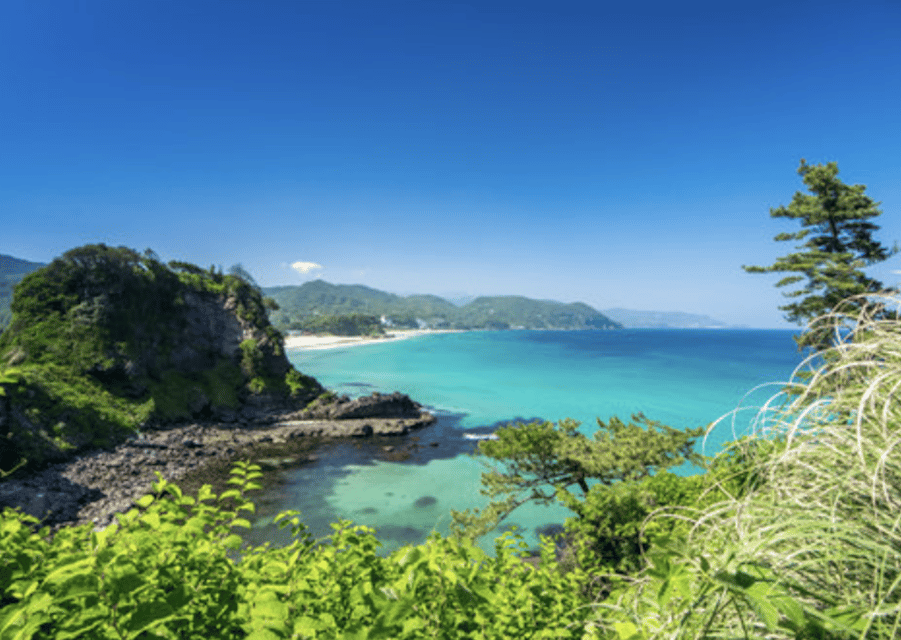 From Tokyo: Private Day Trip to Izu & Shimoda, Shizuoka - Ryosenji Temple and the Treaty With the U.S.