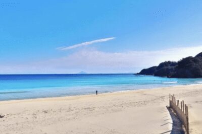 From Tokyo: Private Day Trip to Izu & Shimoda, Shizuoka - Getting to Izu & Shimoda Without Making It a Drag