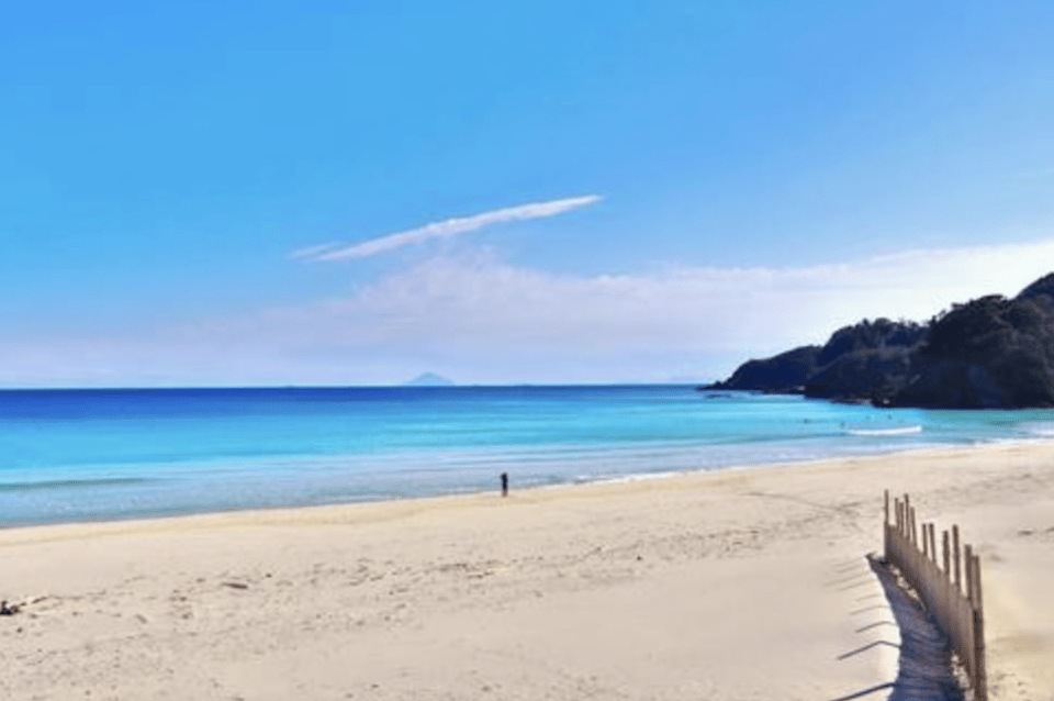 From Tokyo: Private Day Trip to Izu & Shimoda, Shizuoka - Getting to Izu & Shimoda Without Making It a Drag