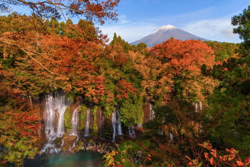 From Tokyo: Private JDM/Sports Car Tour to Mt Fuji & Hakone - Who this tour suits best (and who might want to look elsewhere)