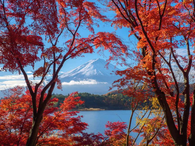 From Tokyo: Private Motorcycle Tour - Fuji, Hakone, Onsen - Price and Logistics: Why $548 Can Still Be Good Value