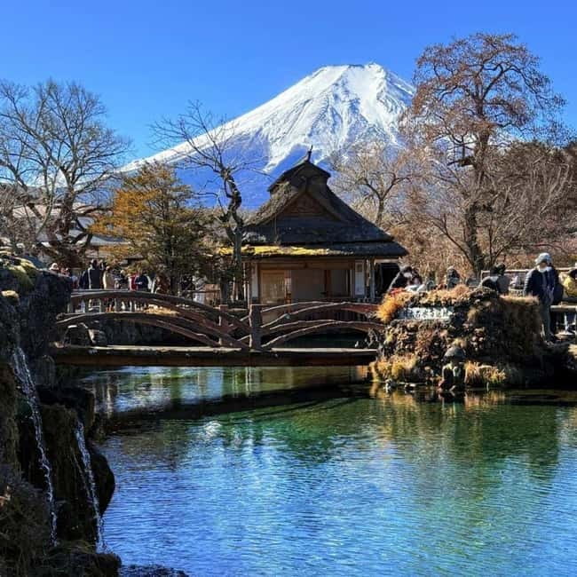 From Tokyo Private Mount Fuji & Hakone Day Trip With Pick Up - Why this private Fuji and Hakone day trip feels worth it