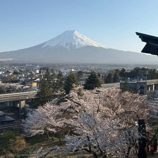From Tokyo Private Mount Fuji & Hakone Day Trip With Pick Up - Oishi Park: a seasonal flower stop with Fuji in the background