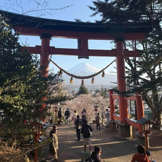 From Tokyo Private Mount Fuji & Hakone Day Trip With Pick Up - Hakone Shrine by Lake Ashi: the red torii photo moment