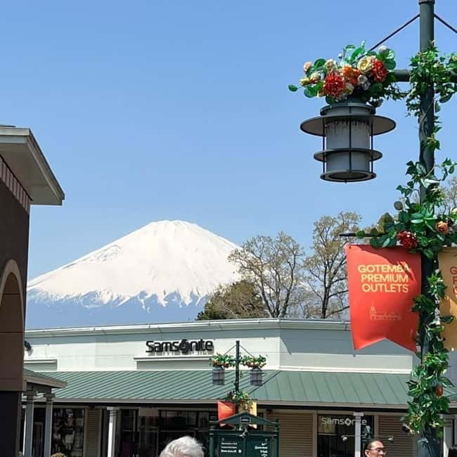 From Tokyo Private Mount Fuji & Hakone Day Trip With Pick Up - Lake Ashi and the ride-through moments that matter