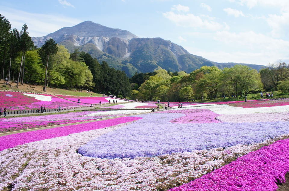 From Tokyo: Seibu Railway 1 Day Pass and Nagatoro - Kawagoe: Edo-Style Warehouses, Candy Alley, and Kitain Temple