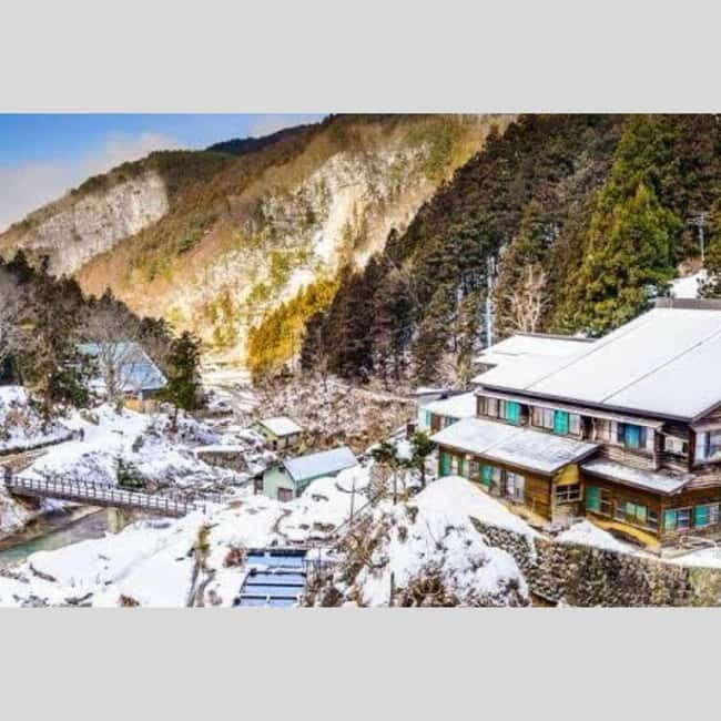From Tokyo: Snow Monkey Park and Miso Production Day Tour - Who This Tour Fits Best (and Who Should Skip It)