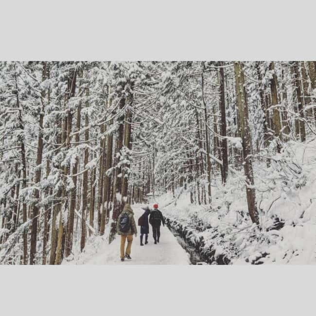 From Tokyo: Snow Monkey Park and Miso Production Day Tour - Jigokudani Monkey Park: Winter Magic, Icy Walks, and How to Beat Wasted Time