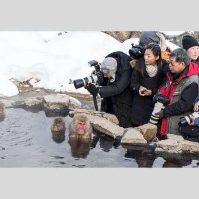 From Tokyo: Snow Monkey Park and Miso Production Day Tour - Lunch and the Reality of Meals Not Being Included