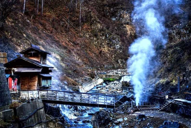 From Tokyo: Snow Monkey Private Customize Day Tour - Jigokudani Monkey Park: the winter hot-spring viewing you came for