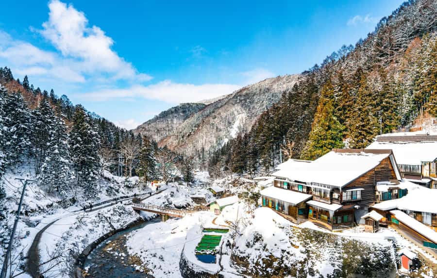From Tokyo: Snow Monkeys and Zenkoji Temple Day Trip - Should you book this day trip?