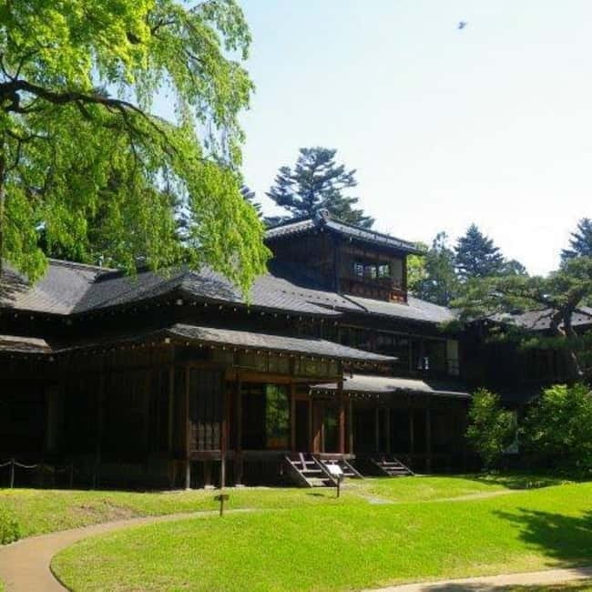 From Tokyo To Nikko Private Day Tour With English Guide - Toshogu Shrine: Why This Is the Main Event