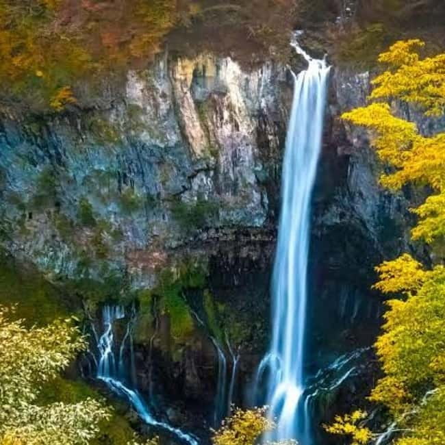 From Tokyo To Nikko Private Day Tour With English Guide - Who This Day Trip Really Suits