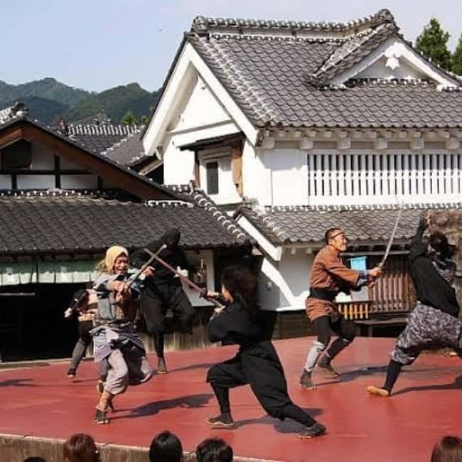 From Tokyo To Nikko Private Day Tour With English Guide - A Smooth Day Plan: How to Make the Most of Your 10 Hours