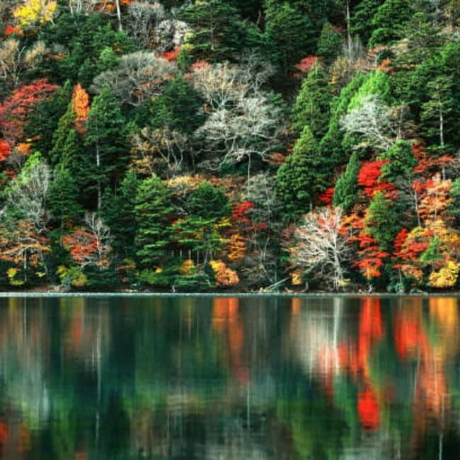 From Tokyo To Nikko Private Day Tour With English Guide - Should You Book This Tokyo to Nikko Private Day Tour?