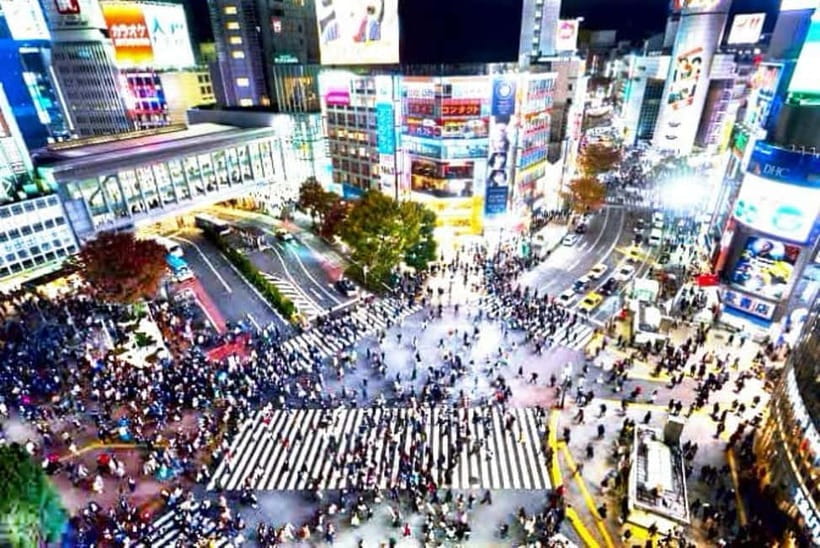 From Tokyo: Tokyo Private Customize Tour With English Driver - Shibuya Crossing and Harajuku Takeshita Street: Modern Tokyo on Foot