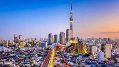 From Tokyo: Tokyo Private Customize Tour With English Driver - Tokyo Skytree: City Views First, Then Decide How Long to Stay