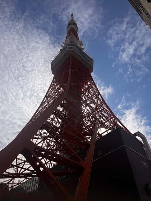 From Tokyo: Tokyo Private Customize Tour With English Driver - Meiji Shrine: The Best Reset Between Noise and Temples