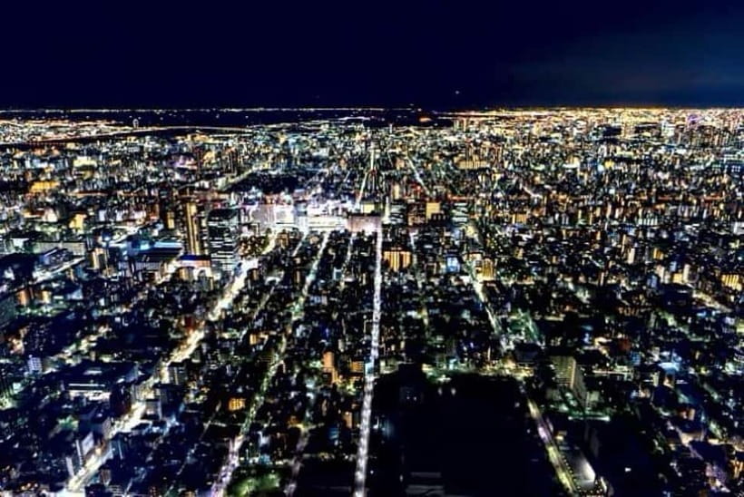 From Tokyo: Tokyo Private Customize Tour With English Driver - How the Day Gets Scheduled: 10 Hours Can Fly
