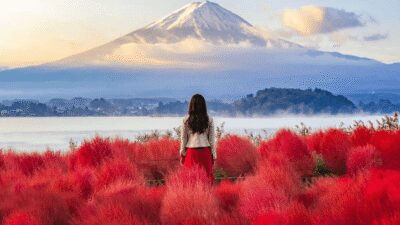 From Tokyo:Mount Fuji Private Customizable Tour With English - Lake Kawaguchiko and Lake Yamanaka: Fuji framed by water