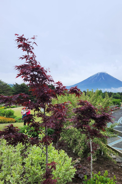From Tokyo:Mount Fuji Private Customizable Tour With English - Price and rules: when this tour feels like a bargain