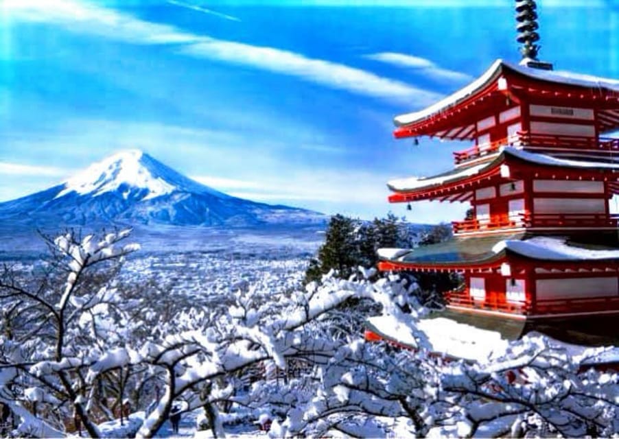 From Tokyo:Mount Fuji Private Customizable Tour With English - FAQ