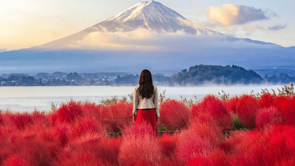 From Tokyo:Mount Fuji Private Customizable Tour With English - Lake Kawaguchiko and Lake Yamanaka: Fuji framed by water