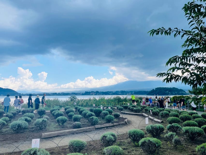 From Tokyo:Mount Fuji private day tour with English driver - Key things that make this Fuji day tour worth it