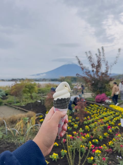 From Tokyo:Mount Fuji private day tour with English driver - Arakura Sengen Park and the five-storied pagoda views