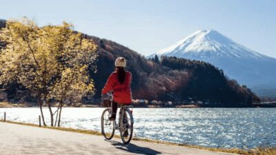 From Tokyo:Mount Fuji private day tour with English driver - Kawaguchiko Oishi Park: the Fuji-lake viewpoint that photographers chase
