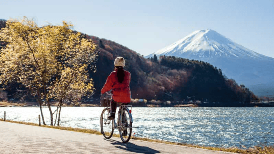 From Tokyo:Mount Fuji private day tour with English driver - Kawaguchiko Oishi Park: the Fuji-lake viewpoint that photographers chase