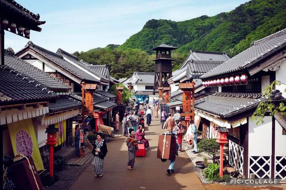 From Tokyo:Nikko Full Day Tour w/Hotel Pickup by Private Car - Price and value: $709 for a private group (up to 2)