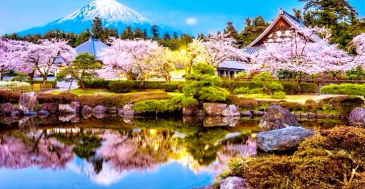 From Tokyo:private Mount Fuji tour with guide - Private Mount Fuji From Tokyo: How the Day Feels