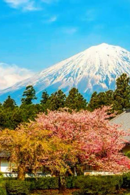 From Tokyo:private Mount Fuji tour with guide - Oshino Hakkai Ponds: Where Fuji Reflections Feel Close