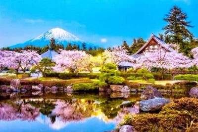 From Tokyo:private Mount Fuji tour with guide - Pickup, Timing, and the Reality of Traffic
