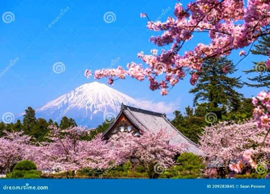 From Tokyo:private Mount Fuji tour with guide - Lake Kawaguchiko: Fuji in the Water