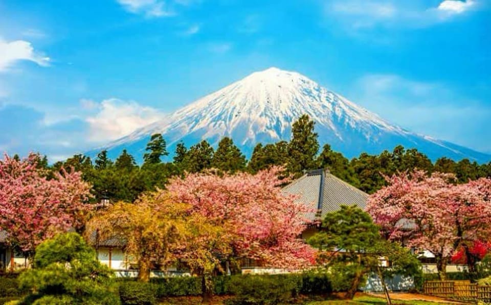 From Tokyo:private Mount Fuji tour with guide - Gotemba Premium Outlets: Shopping Time That Changes the Mood