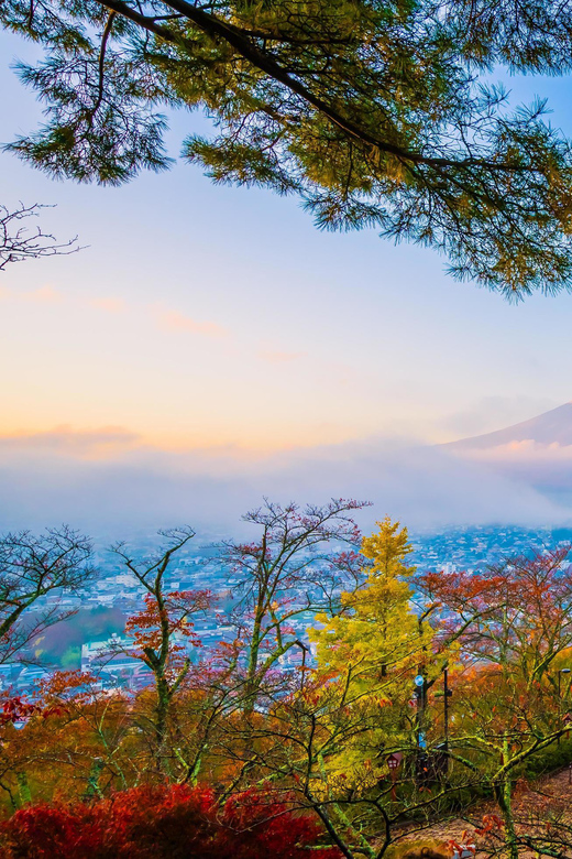 Fuji/Hakone Private Tour, English speaking guide, Photograph - Key points before you go