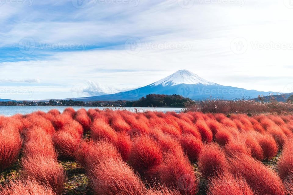 Fuji/Hakone Private Tour, English speaking guide, Photograph - Oshino Hakkai: those mirror ponds and why they’re worth the early push