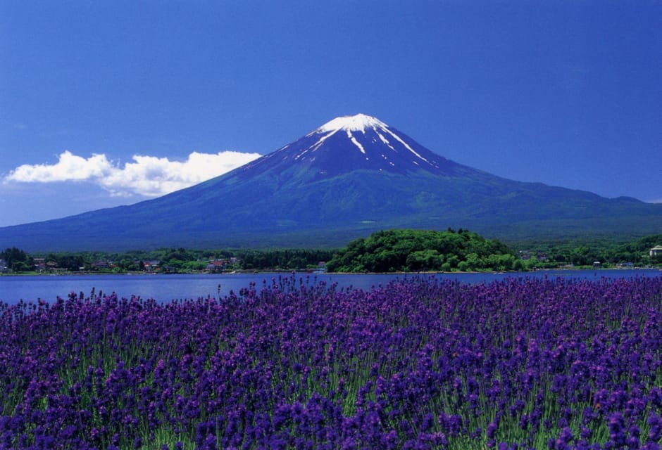 Fuji/Hakone Private Tour, English speaking guide, Photograph - Saiko Iyashi-no-Sato Nenba: the village stop that adds texture
